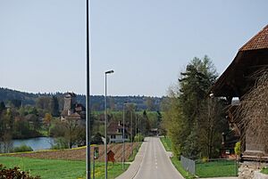 2011-04-10 Schwarzhaeusern (Foto Dietrich Michael Weidmann) 257