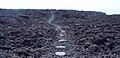 ALKA trailsection