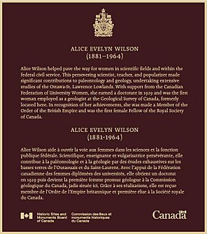Alice Wilson Plaque