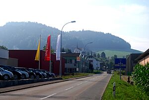 Altbueron 132
