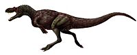 Appalachiosaurus montgomeriensis.jpg