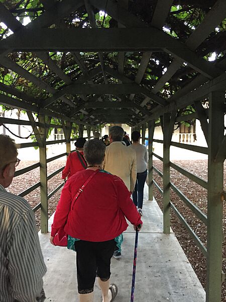 Arbor leading to house