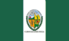 Flag of Camotán
