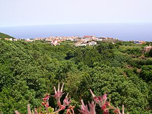 Barlovento village