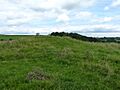 Blackstones Low tumulus (geograph 3083080)