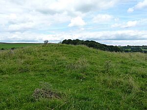 Blackstones Low tumulus (geograph 3083080)