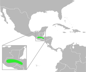 Bufo ibarri distribution.svg