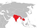 Burhinus indicus range