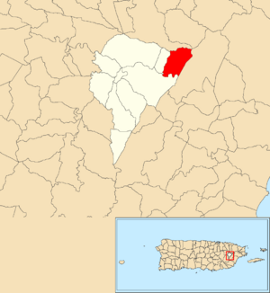 Location of Caimito within the municipality of Juncos shown in red