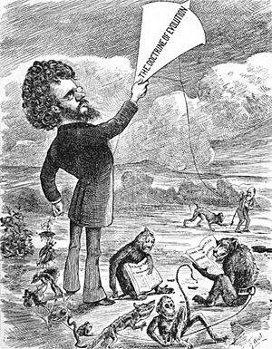Cartoon of Philosopher John Fiske