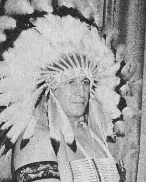 Chief Jay Strongbow 1973 (cropped)