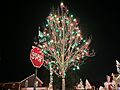 Christmas Tree in McAdenville Town