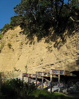 Cliff section