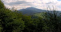 Clingmans-dome-from-silers-bald