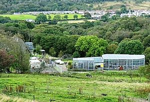Cropped image of the Wales Ape and Monkey Sanctuary - geograph org uk - 1498758.jpg