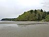 Beach at low tide with forest in background