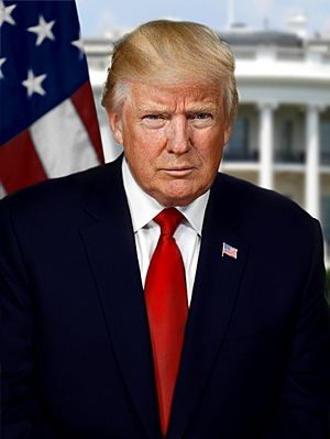 Donald Trump President-elect portrait