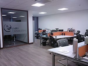 Enbu Consulting - HQ