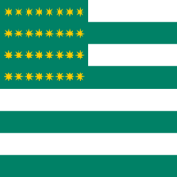 Fenian Flag 1867