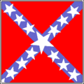 Flag of Terry's Texas Rangers