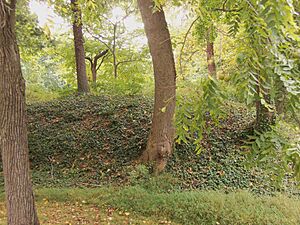 Fort C. F. Smith 01