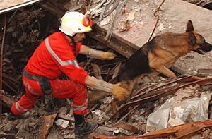 French Urban Search and Rescue