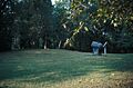 GRAND GULF MILITARYSTATE PARK