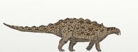 GobisaurusNV.jpg