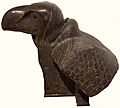Granite Vulture from Temple of Taharqa