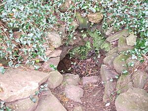 Hope Bagot Spring Well - geograph.org.uk - 769639