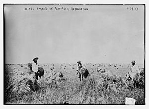 Indians Farming on Fort Peck Reservation (Bain Collection)