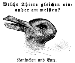 Kaninchen und Ente