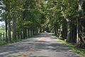 Kentucky Route 1927 near Pine Grove