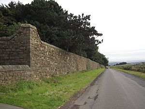 Kirk Edge Convent, Boundary Wall
