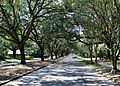 Kleinert Terrace Historic District
