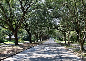 Kleinert Terrace Historic District