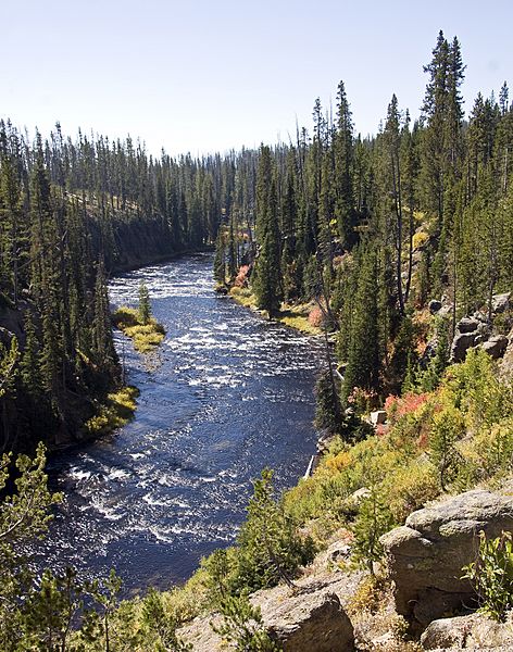 Lewis River YNP1