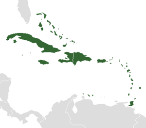 LocationCaribbean