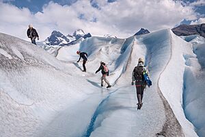Los Glaciares - Glaciar Perito Moreno 008