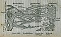 Map of the Dardanelles - Belon Pierre - 1554