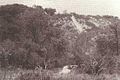 MoundKeyShellMound