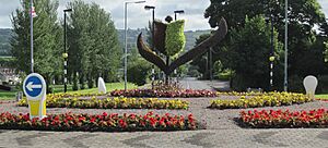 Nbclogo roundabout