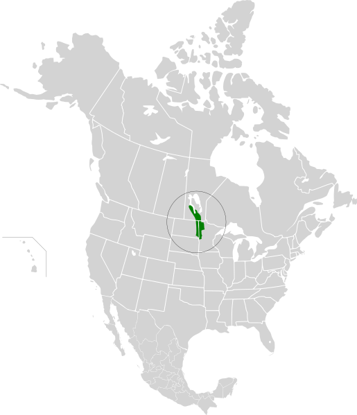 Northern tall grasslands map