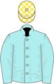 Owner Ballymacoll Stud