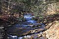 Painter Run looking upstream above Oxhorn Run 2