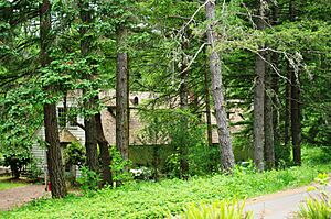 Peavy Arboretum lodge