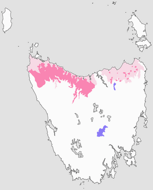 Population distribution map of the Tasmanian giant freshwater crayfish (Astacopsis gouldi).png