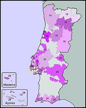Portuguese wine map highlight Carcavelos