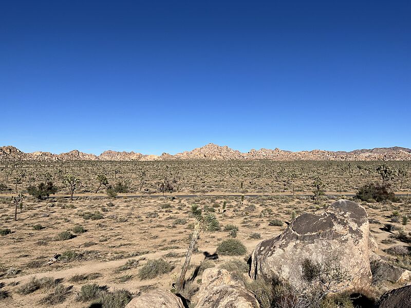 Quail Springs Joshua Tree 2022a