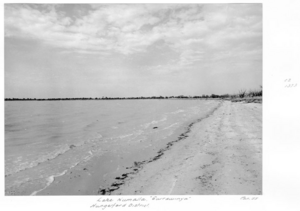 Queensland State Archives 5294 Lake Numalla Currawinya Hungerford District January 1955